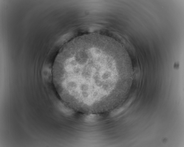 X0000101110527200807241138
