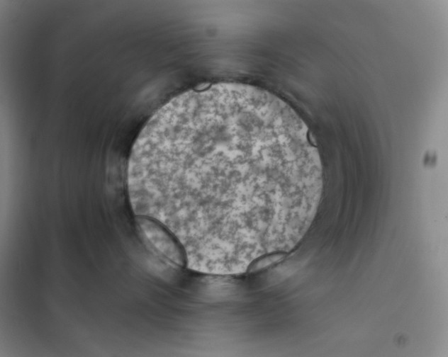 X0000101110528200807241138