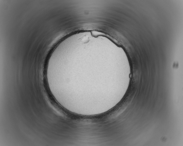 X0000101110530200807241137