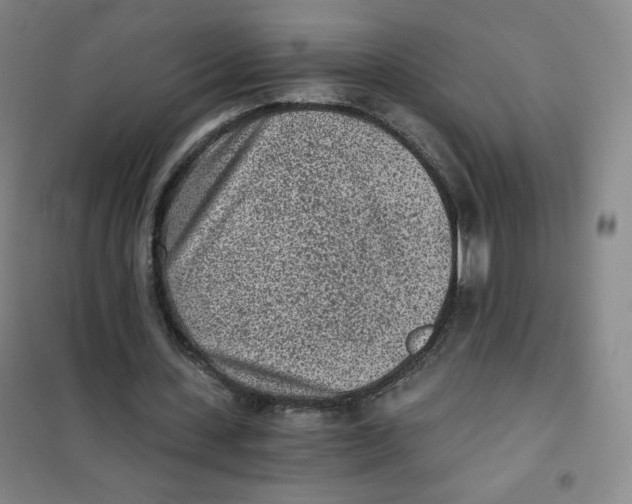 X0000101110531200807241137