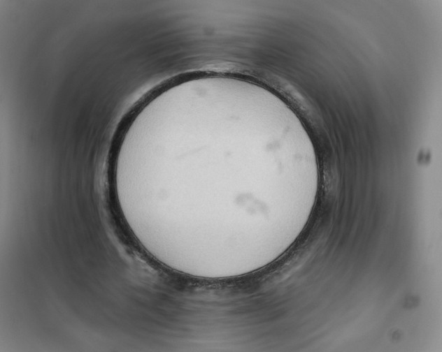 X0000101110532200807241138