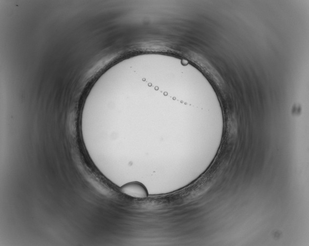 X0000101110533200807241138