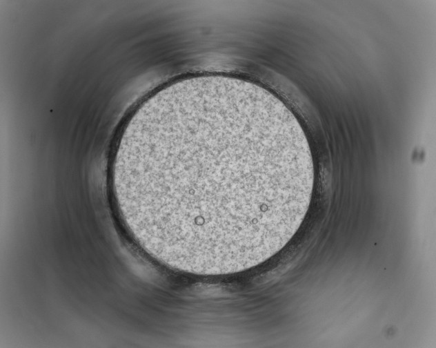 X0000101110534200807241138