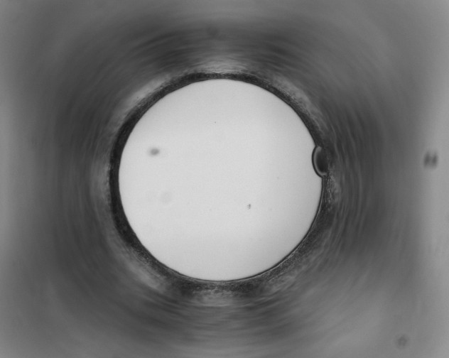 X0000101110535200807241138