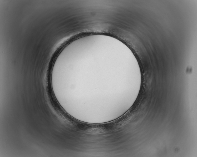 X0000101110536200807241138