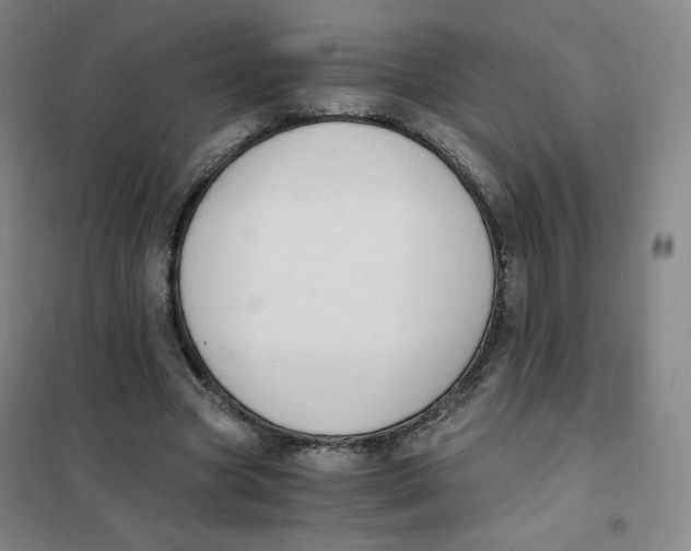 X0000101110537200807241138