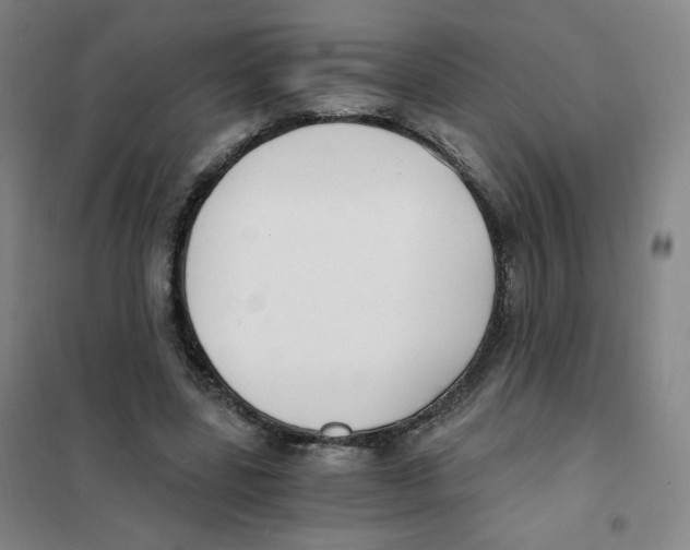 X0000101110539200807241138