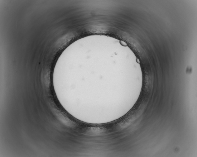 X0000101110541200807241138