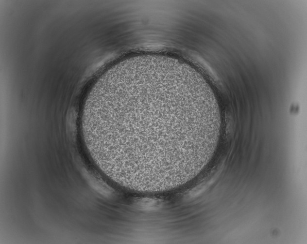 X0000101110542200807241138
