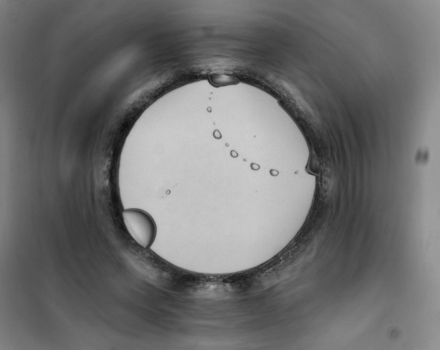 X0000101110543200807241138