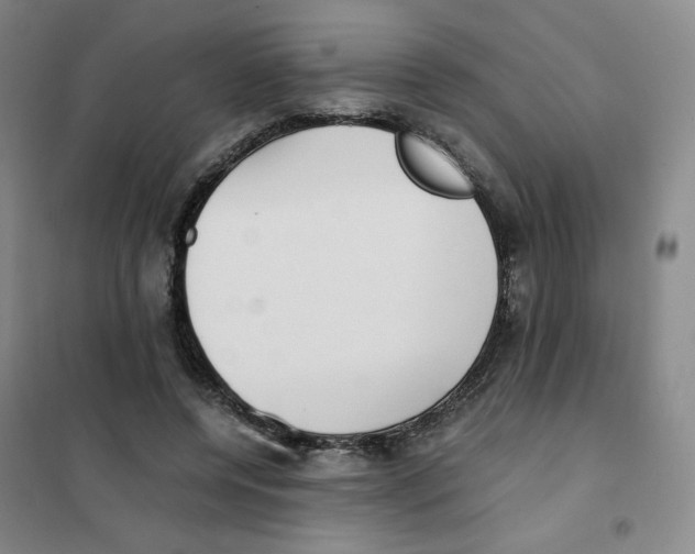 X0000101110544200807241138