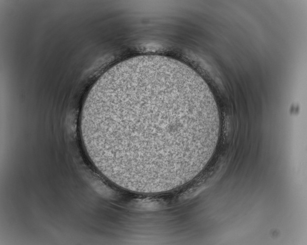 X0000101110545200807241138