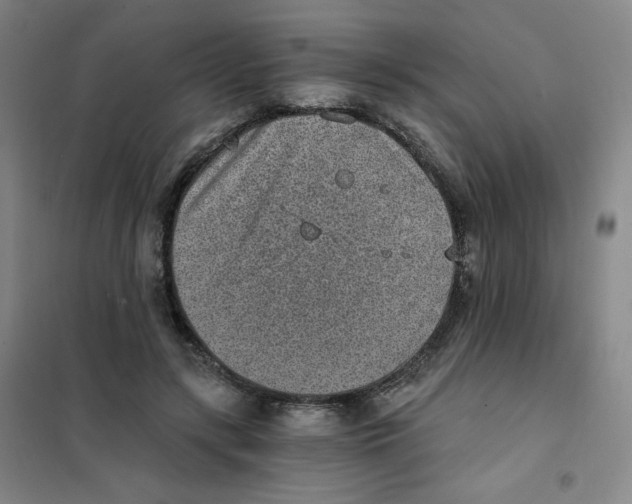 X0000101110547200807241138
