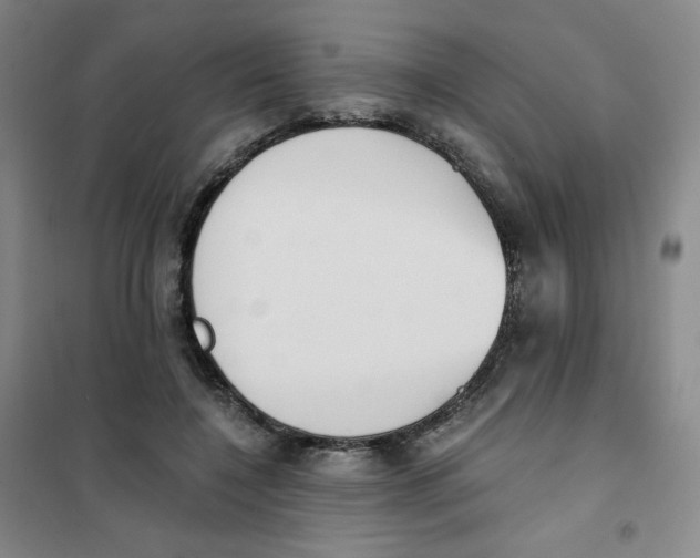 X0000101110548200807241138