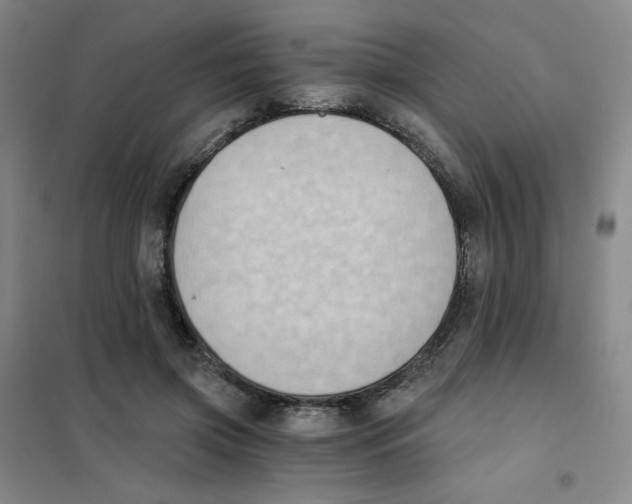 X0000101110549200807241138
