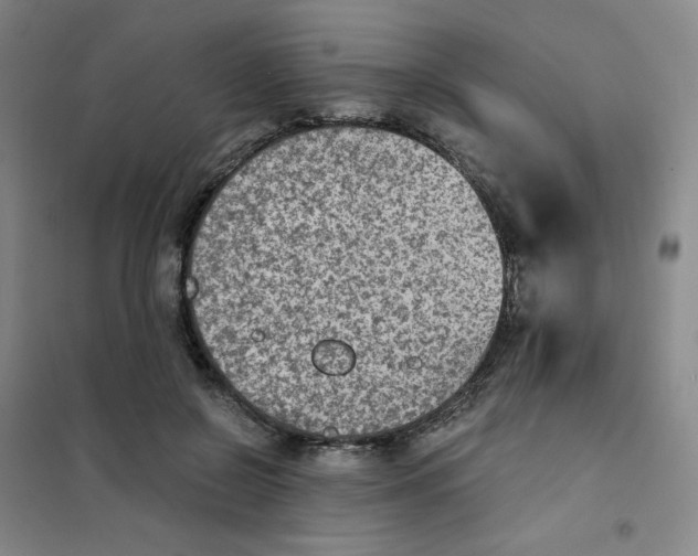 X0000101110550200807241138