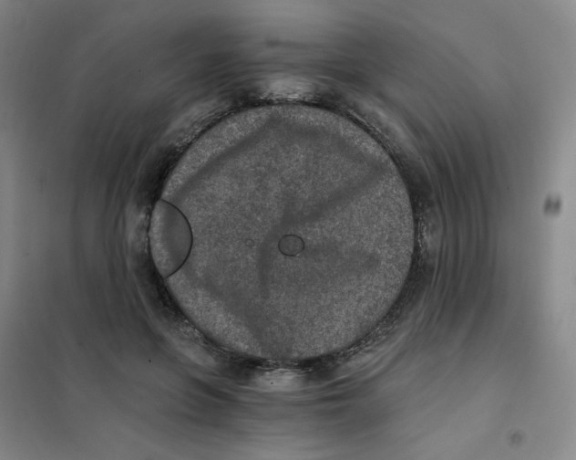 X0000101110551200807241138