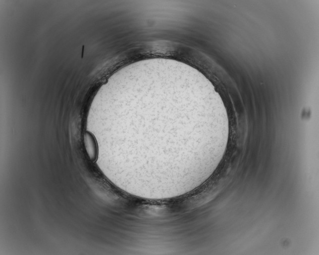 X0000101110552200807241138