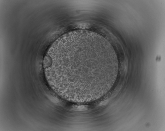 X0000101110553200807241138