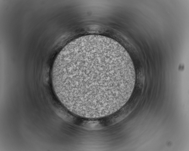 X0000101110554200807241138