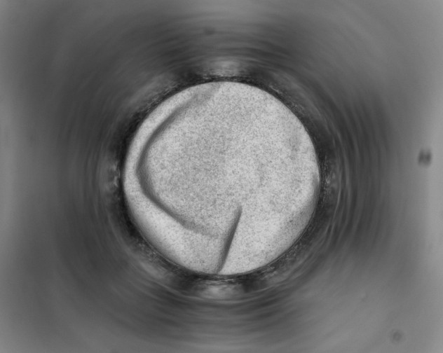 X0000101110555200807241138