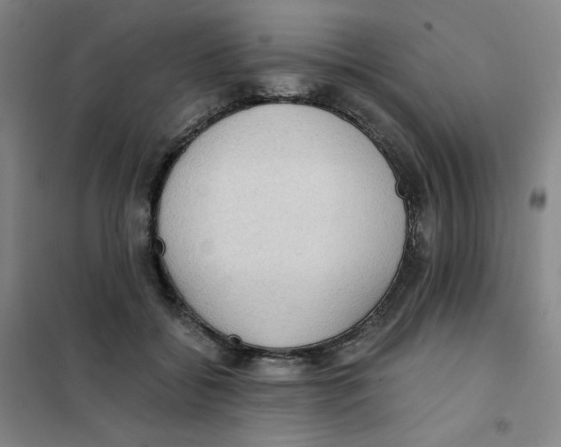 X0000101110556200807241138
