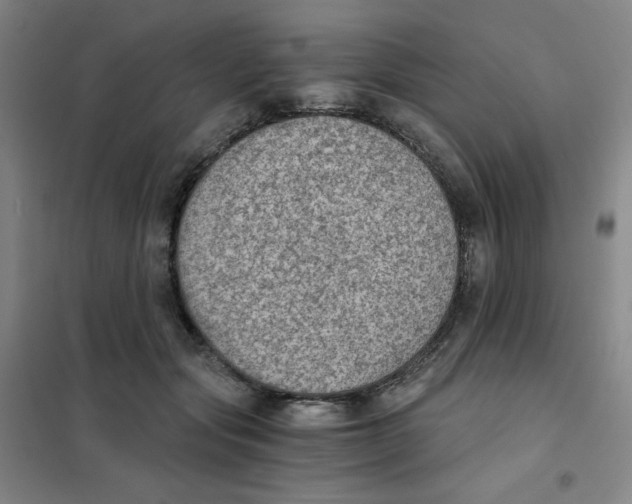 X0000101110557200807241138