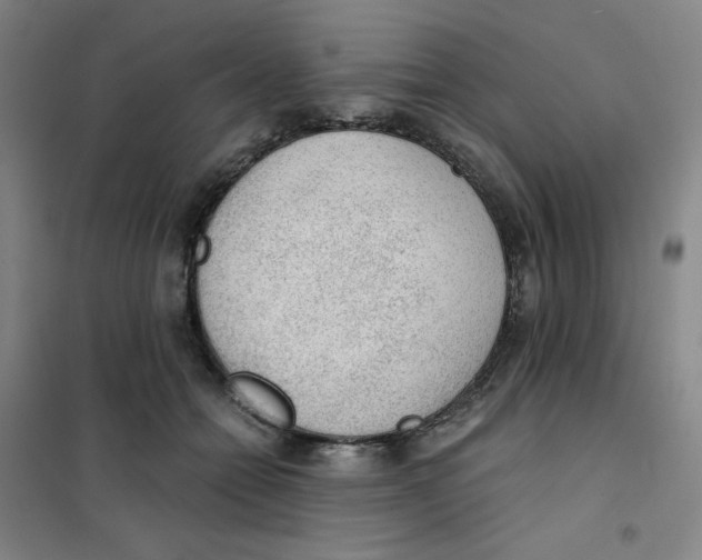X0000101110558200807241138