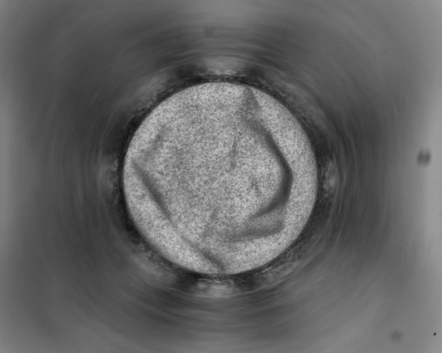 X0000101110559200807241138