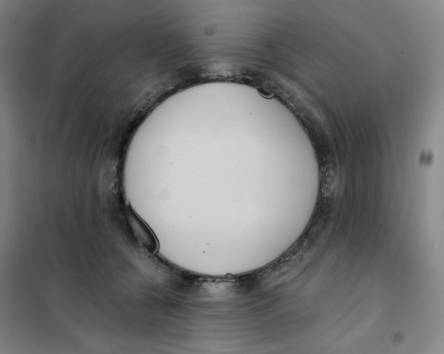 X0000101110560200807241138