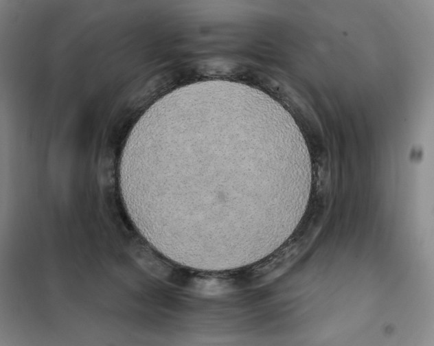 X0000101110561200807241138