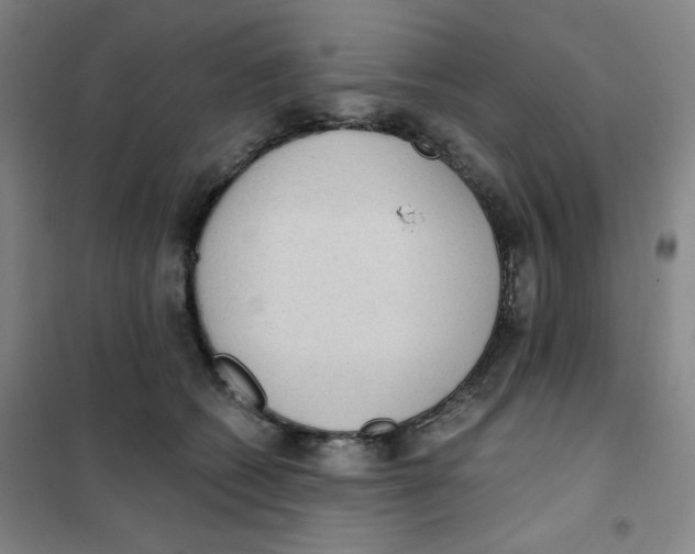X0000101110562200807241138