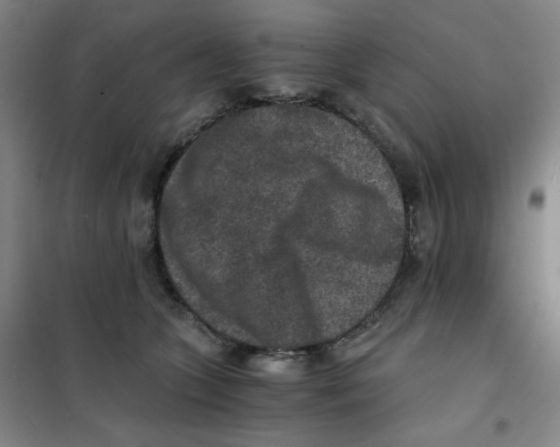 X0000101110563200807241138