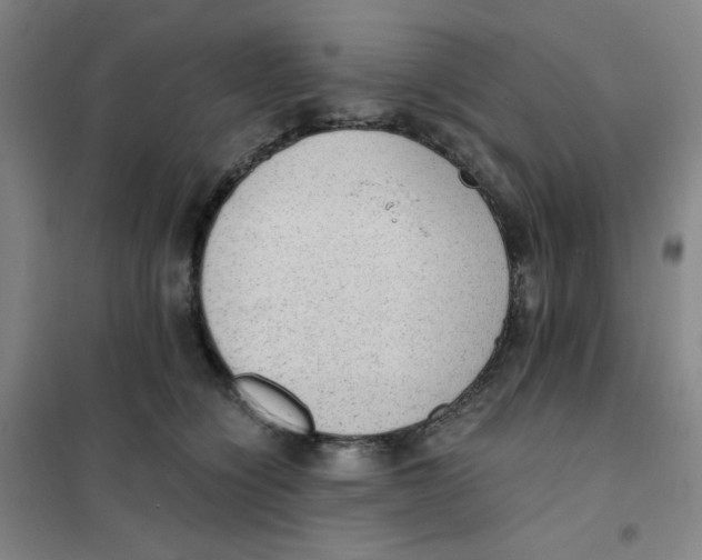 X0000101110564200807241138