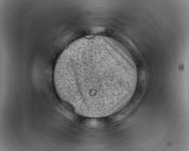 X0000101110565200807241138