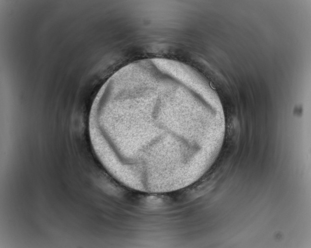 X0000101110566200807241138