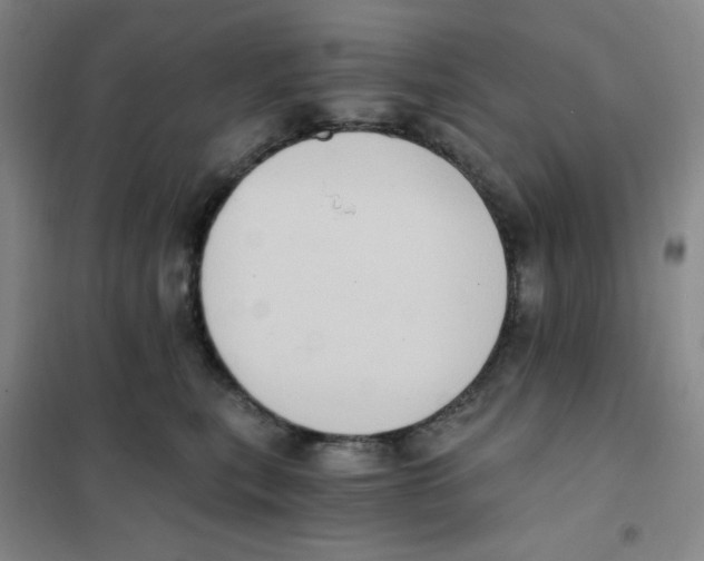 X0000101110567200807241138