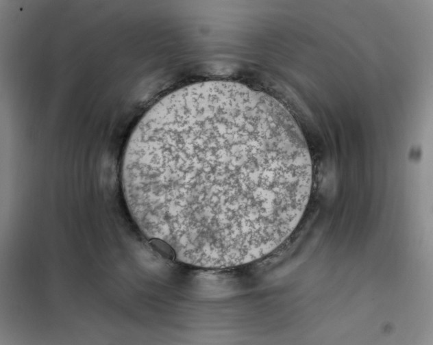 X0000101110568200807241138