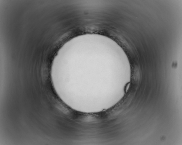 X0000101110569200807241138