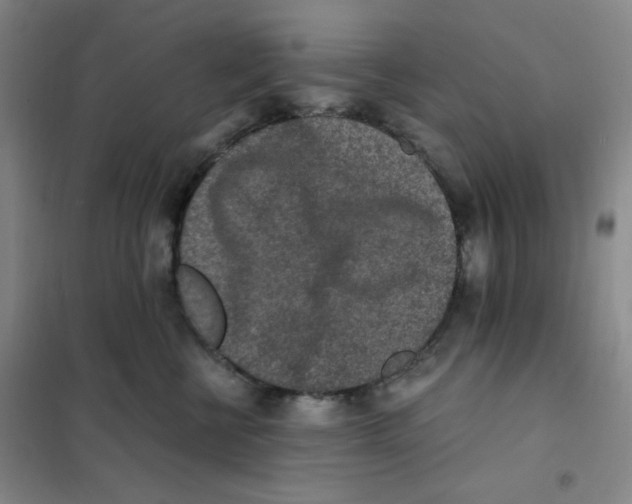 X0000101110570200807241138