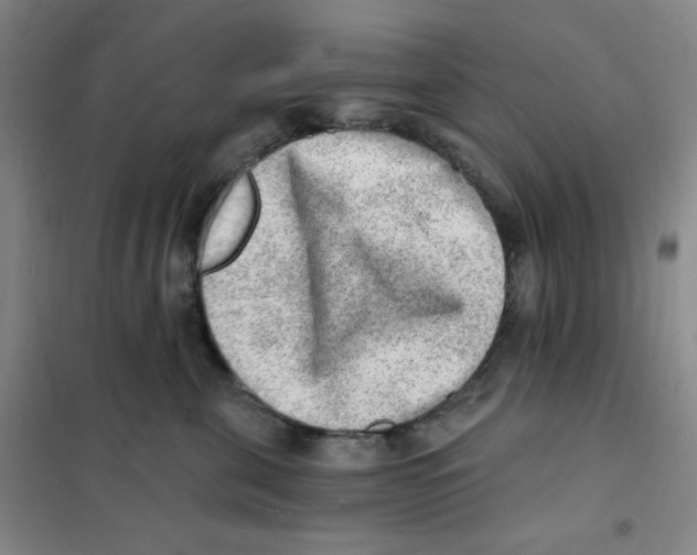 X0000101110571200807241138