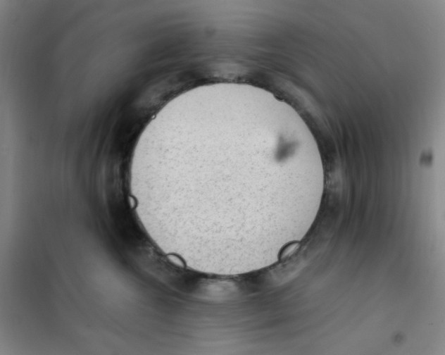 X0000101110572200807241138