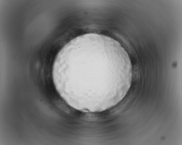 X0000101110573200807241138