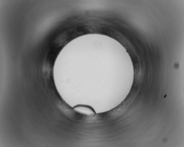 X0000101110574200807241138