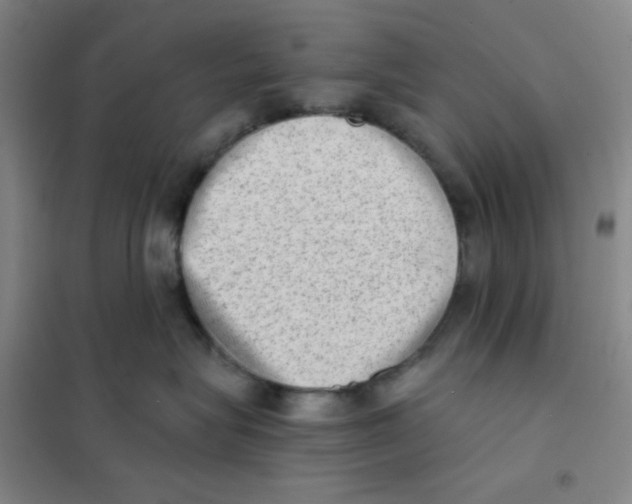 X0000101110575200807241138