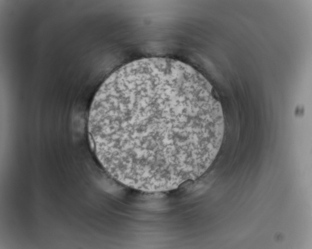 X0000101110576200807241138
