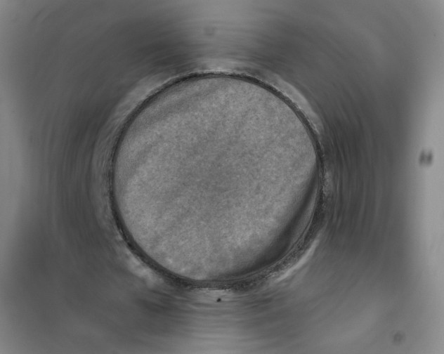 X0000101110577200807241137