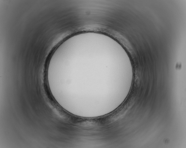 X0000101110578200807241137