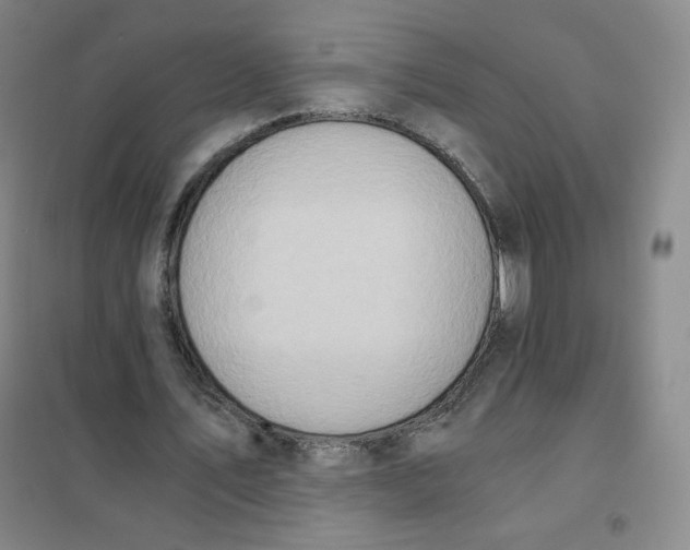 X0000101110579200807241137