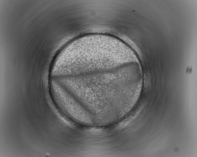 X0000101110581200807241137